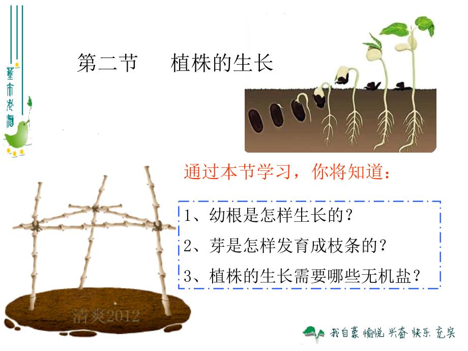 鲁科版生物六年级下册3.2.2《植株的生长》ppt课件2_第1页