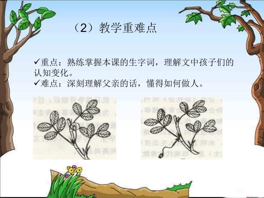 《落花生教师说》ppt课件_第5页