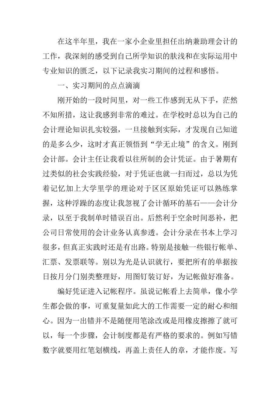 实习出纳工作总结.doc_第5页