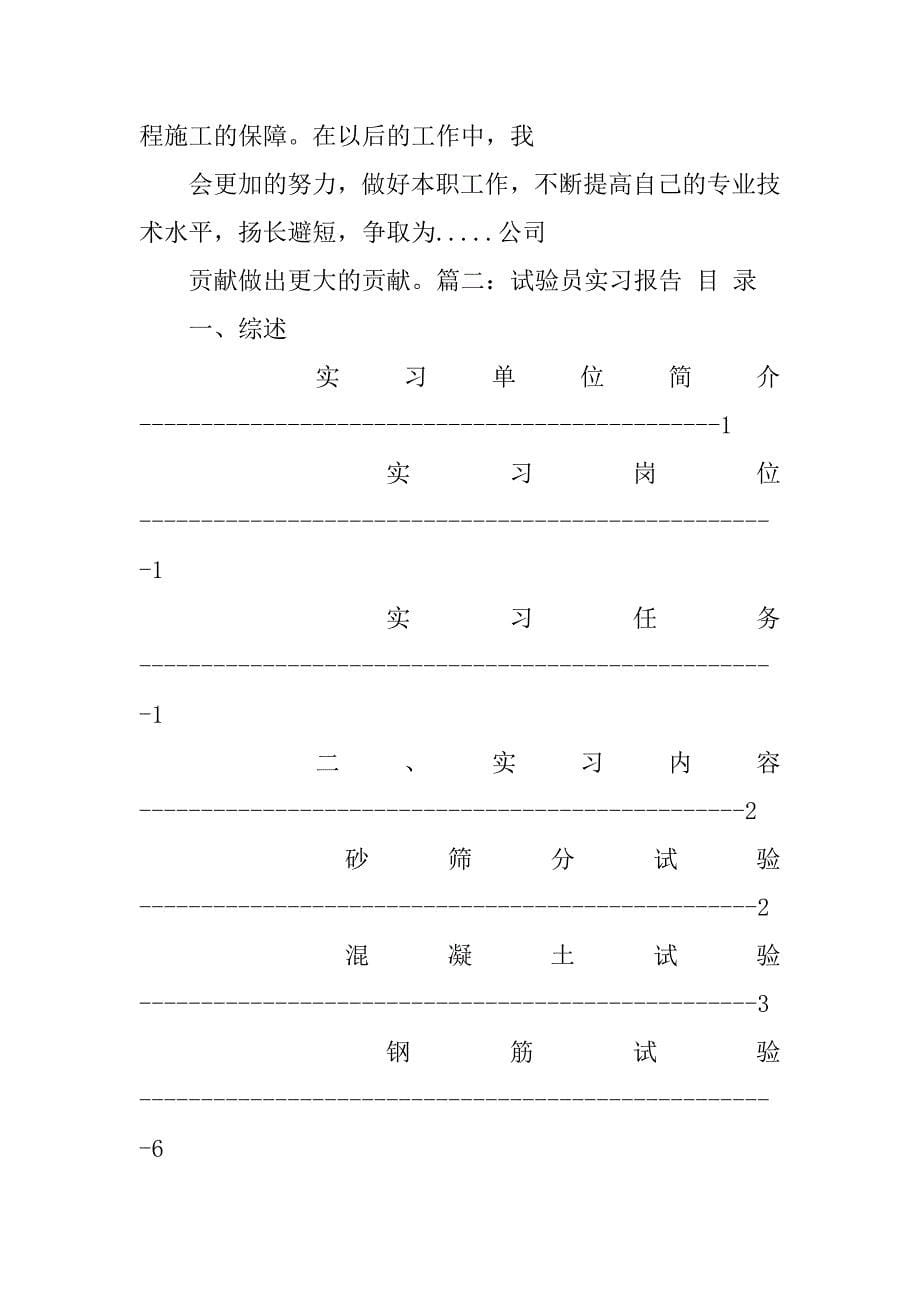 实验员试用期工作总结.doc_第5页