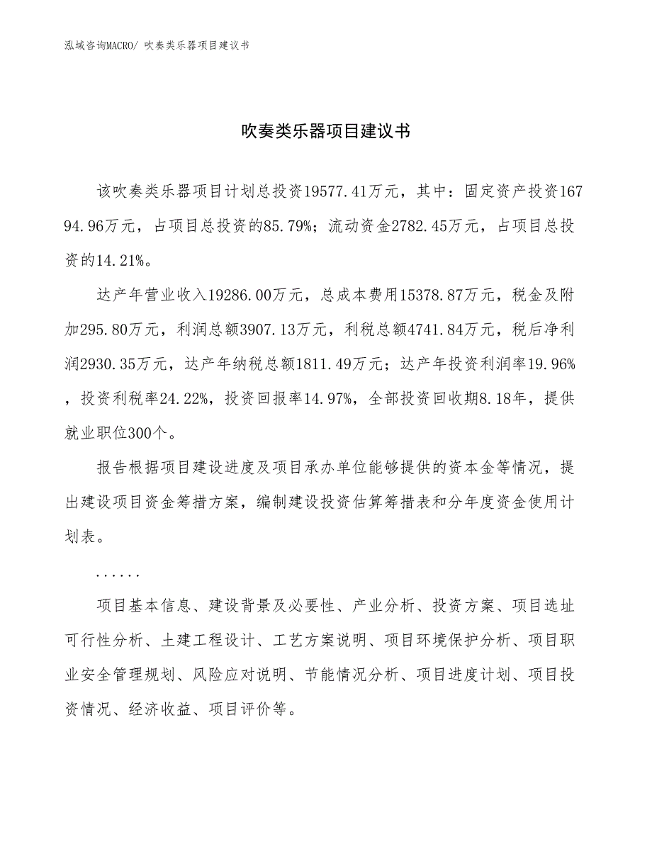 吹奏类乐器项目建议书(87亩，投资19600万元）_第1页