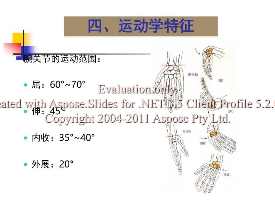 关节运动学(三、腕)运动学特征_第5页