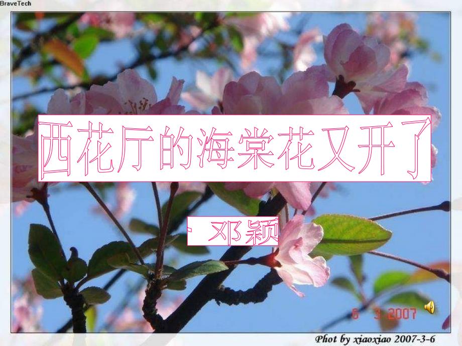沪教版语文九年级上册第6课《西花厅的海棠花又开了》课件1_第1页