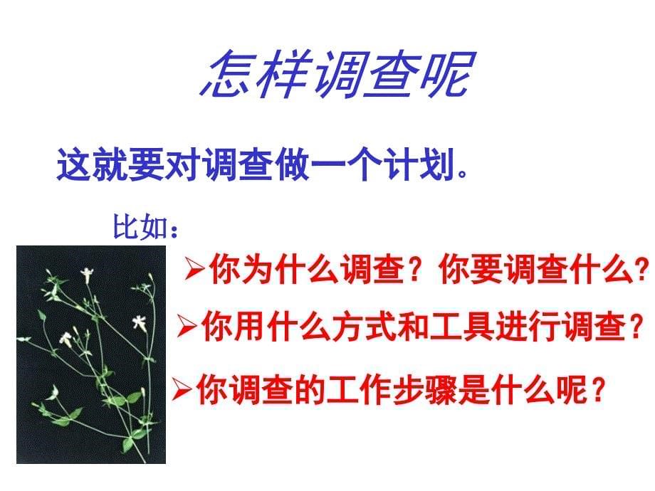 人教版七上《调查我们身边的生物》ppt课件1_第5页