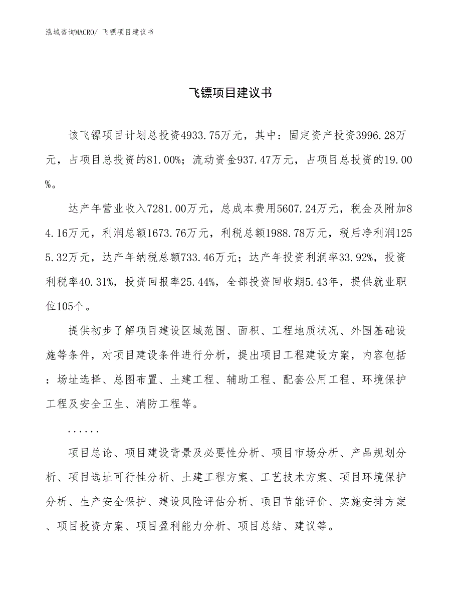 飞镖项目建议书(21亩，投资4900万元）_第1页