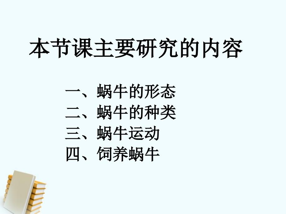 三年级科学上册蜗牛1课件教科版_第3页