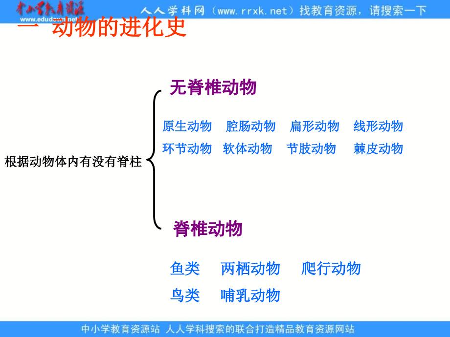 人教版生物八下《生物进化的历程》ppt课件3_第3页