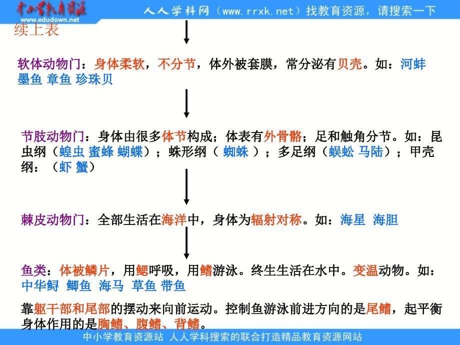 人教版生物八下《生物进化的历程》ppt课件3_第5页