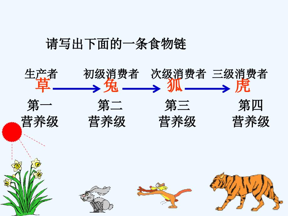 济南版生物八下《能量流动和物质循环》ppt课件1_第4页