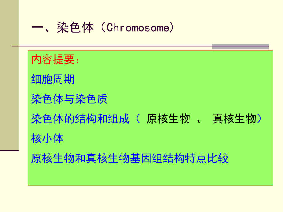 《dna结构特点特征》ppt课件_第2页