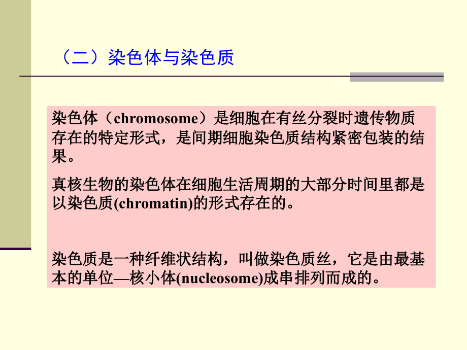 《dna结构特点特征》ppt课件_第4页