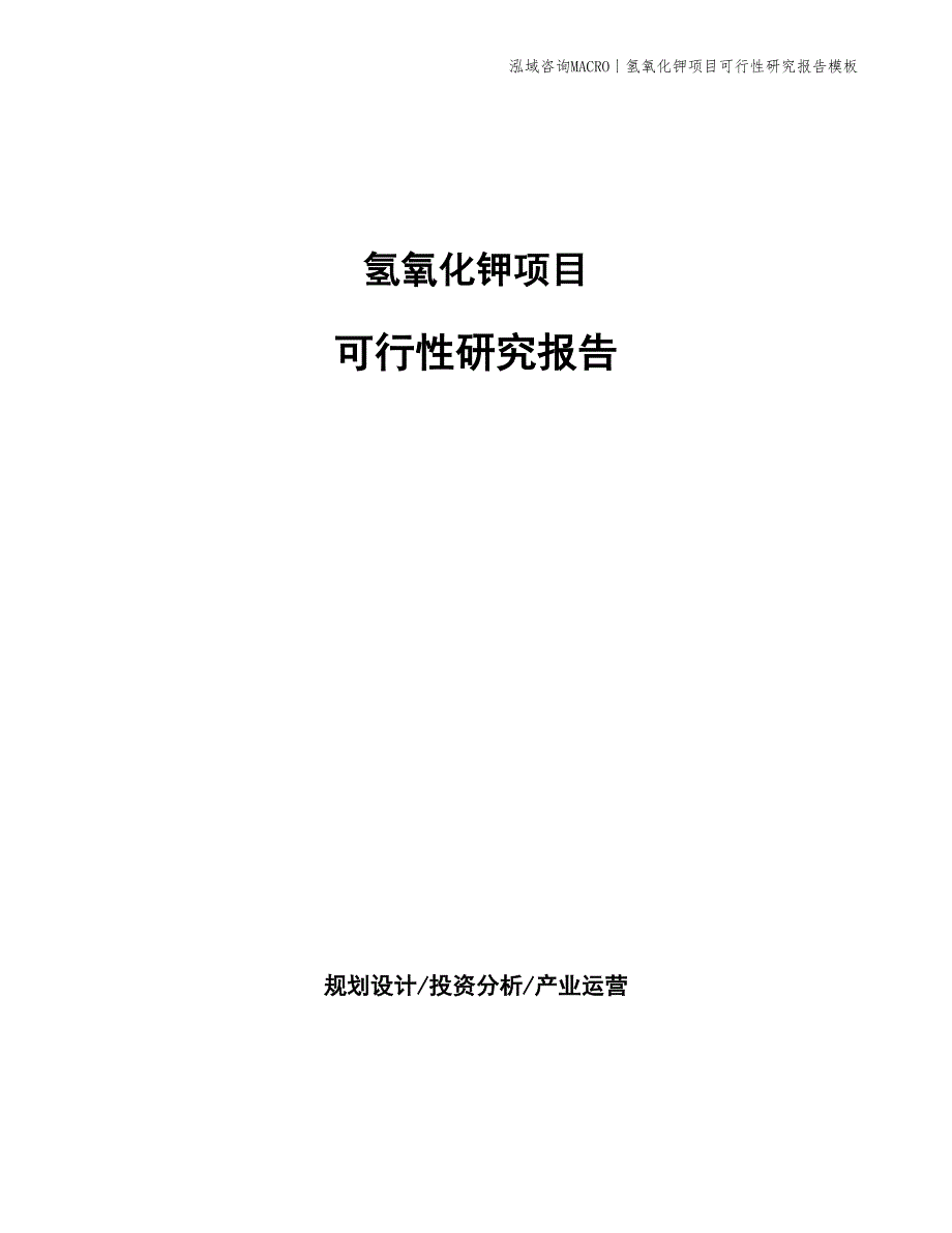 氢氧化钾项目可行性研究报告模板_第1页