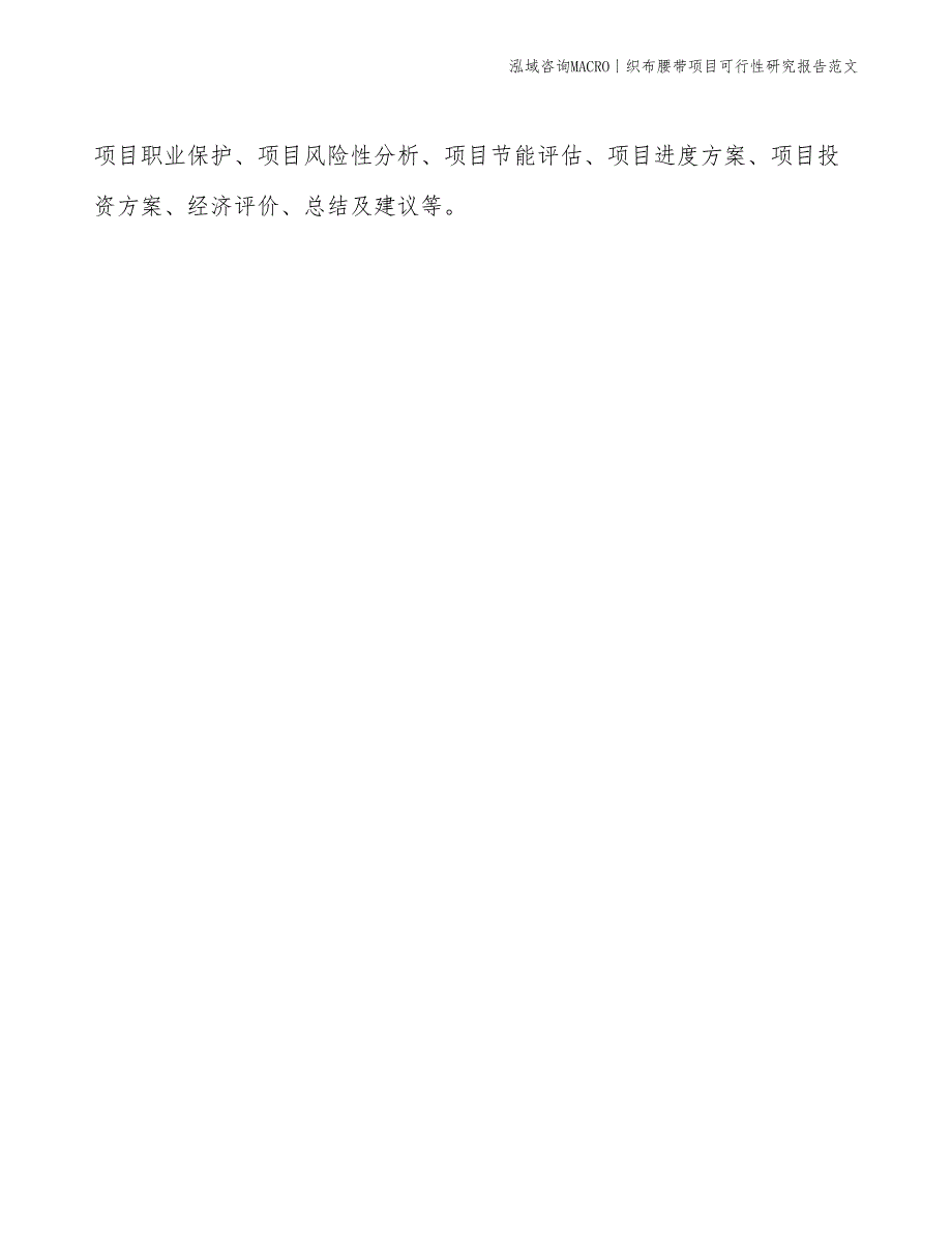 织布腰带项目可行性研究报告范文(投资16400万元)_第2页