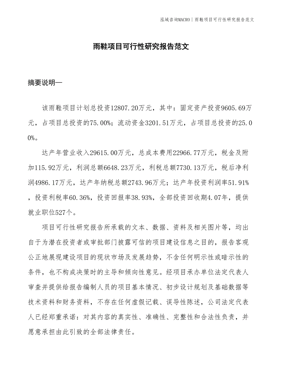 雨鞋项目可行性研究报告范文(投资12800万元)_第1页