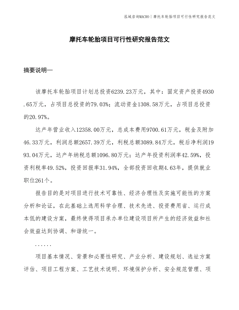 摩托车轮胎项目可行性研究报告范文(投资6200万元)_第1页