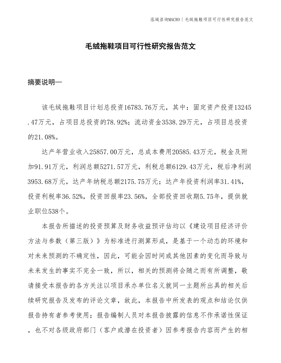 毛绒拖鞋项目可行性研究报告范文(投资16800万元)_第1页