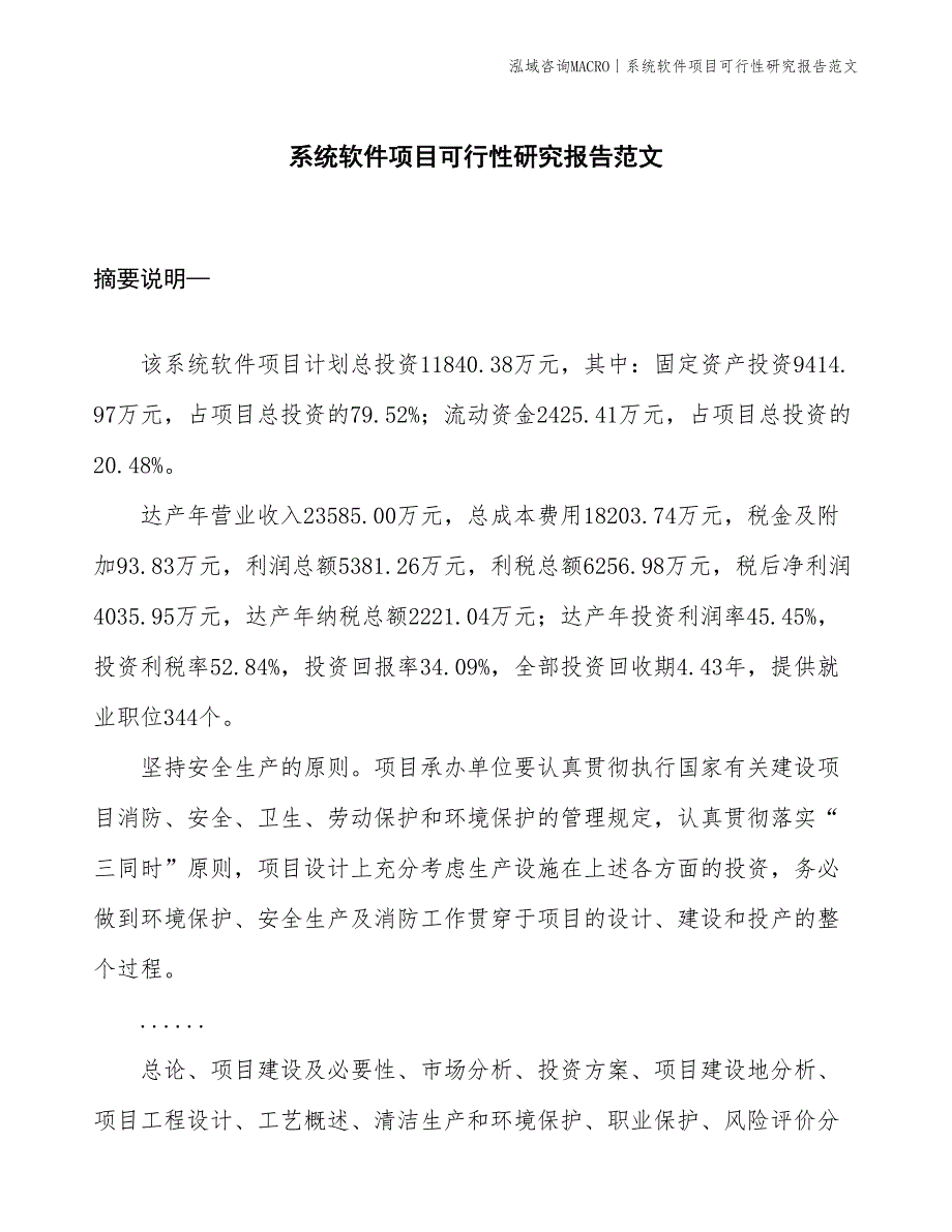 系统软件项目可行性研究报告范文(投资11800万元)_第1页