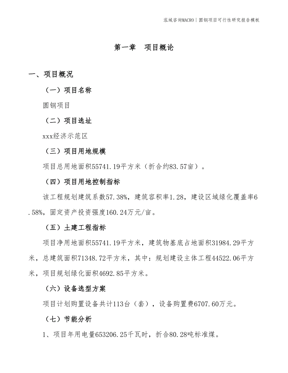 圆钢项目可行性研究报告模板_第3页