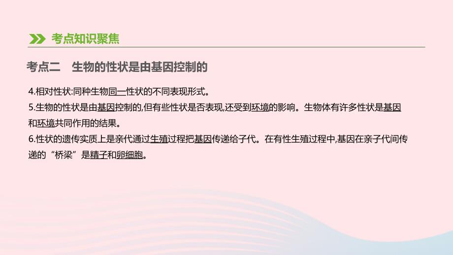 广东省深圳市2019年中考生物 主题复习六 生物的生殖、发育和遗传、变异 第11课时 生物的遗传和变异课件_第4页