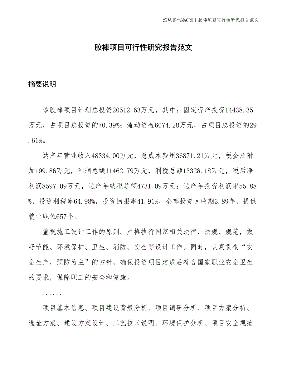 胶棒项目可行性研究报告范文(投资20500万元)_第1页