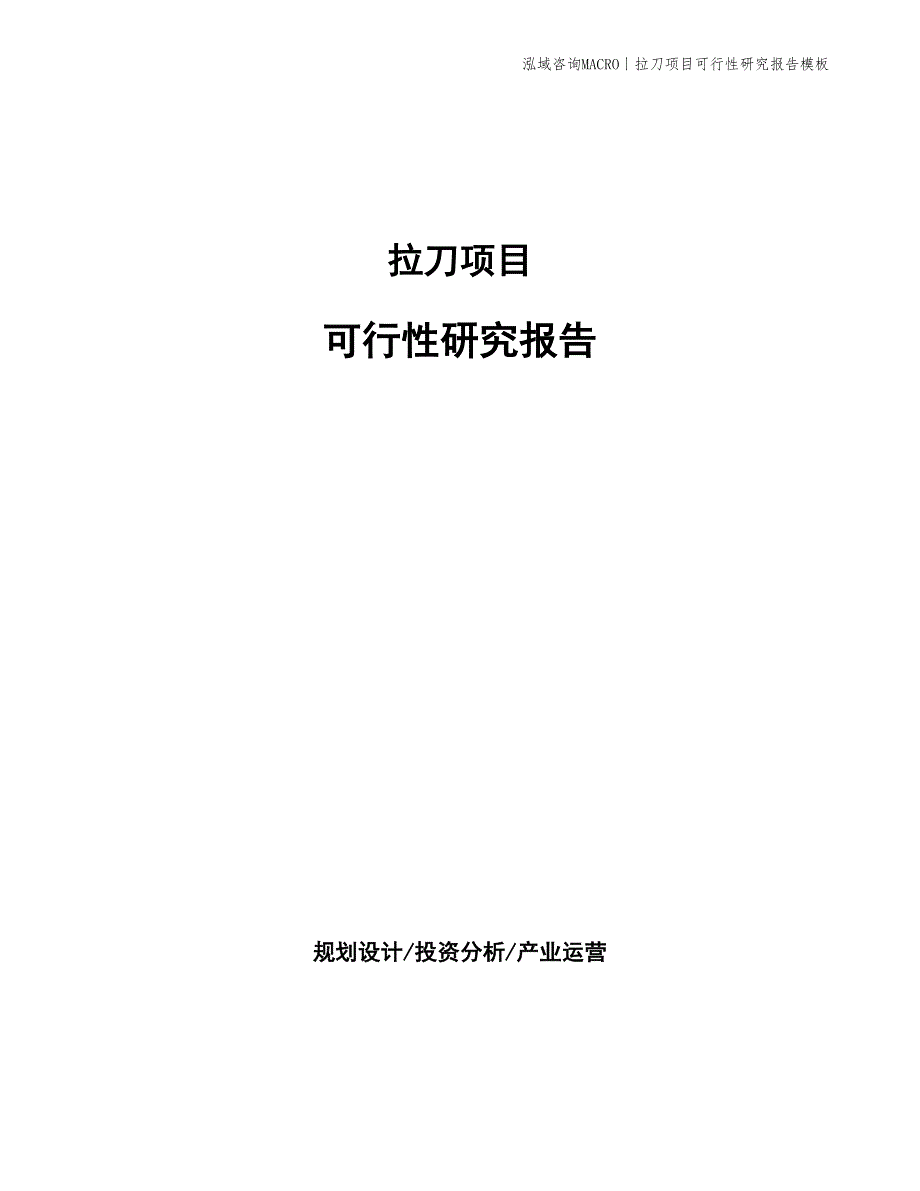 拉刀项目可行性研究报告模板_第1页