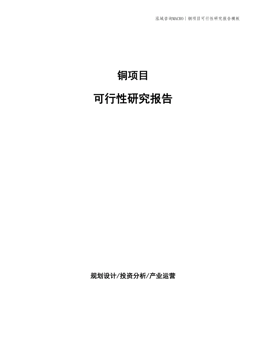 铜项目可行性研究报告模板_第1页