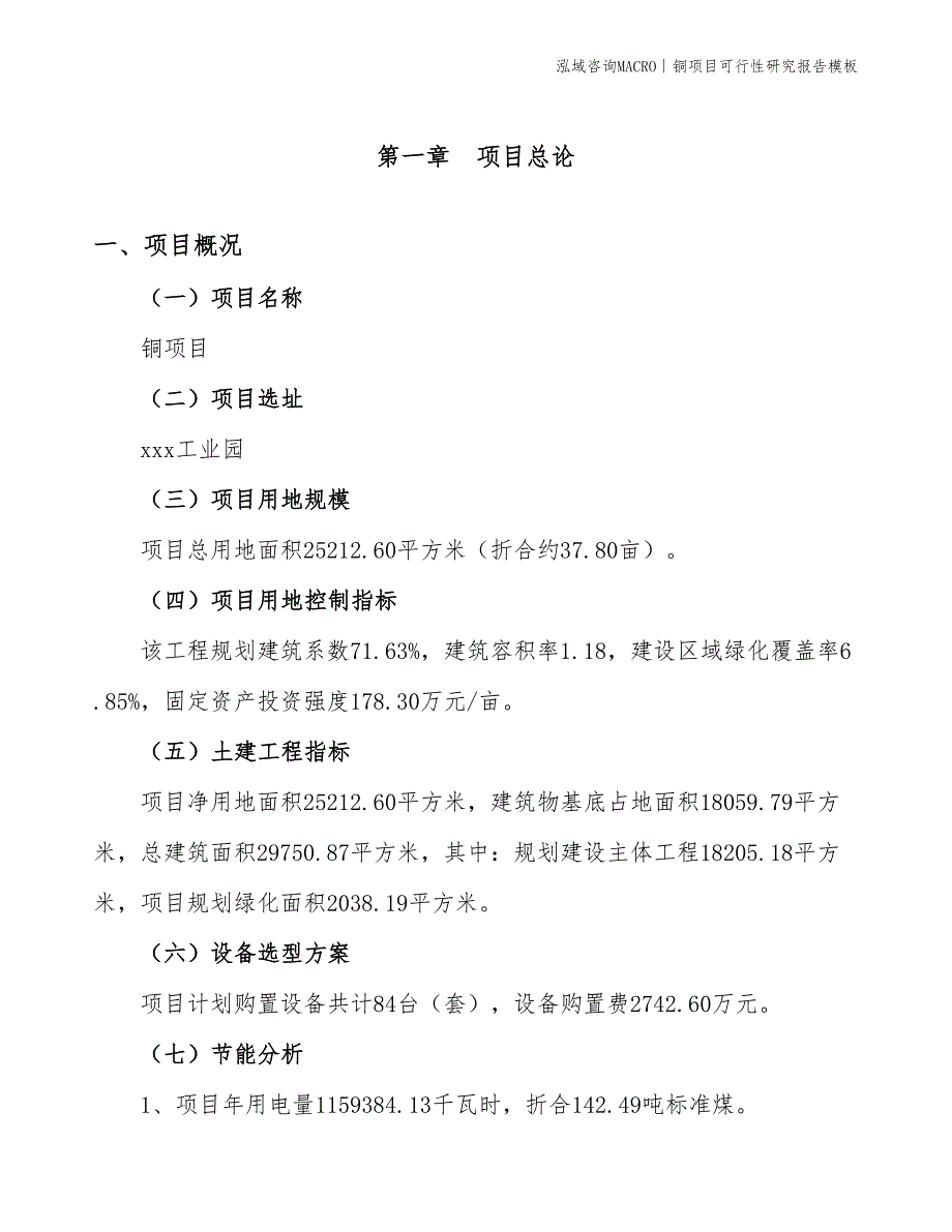 铜项目可行性研究报告模板_第3页