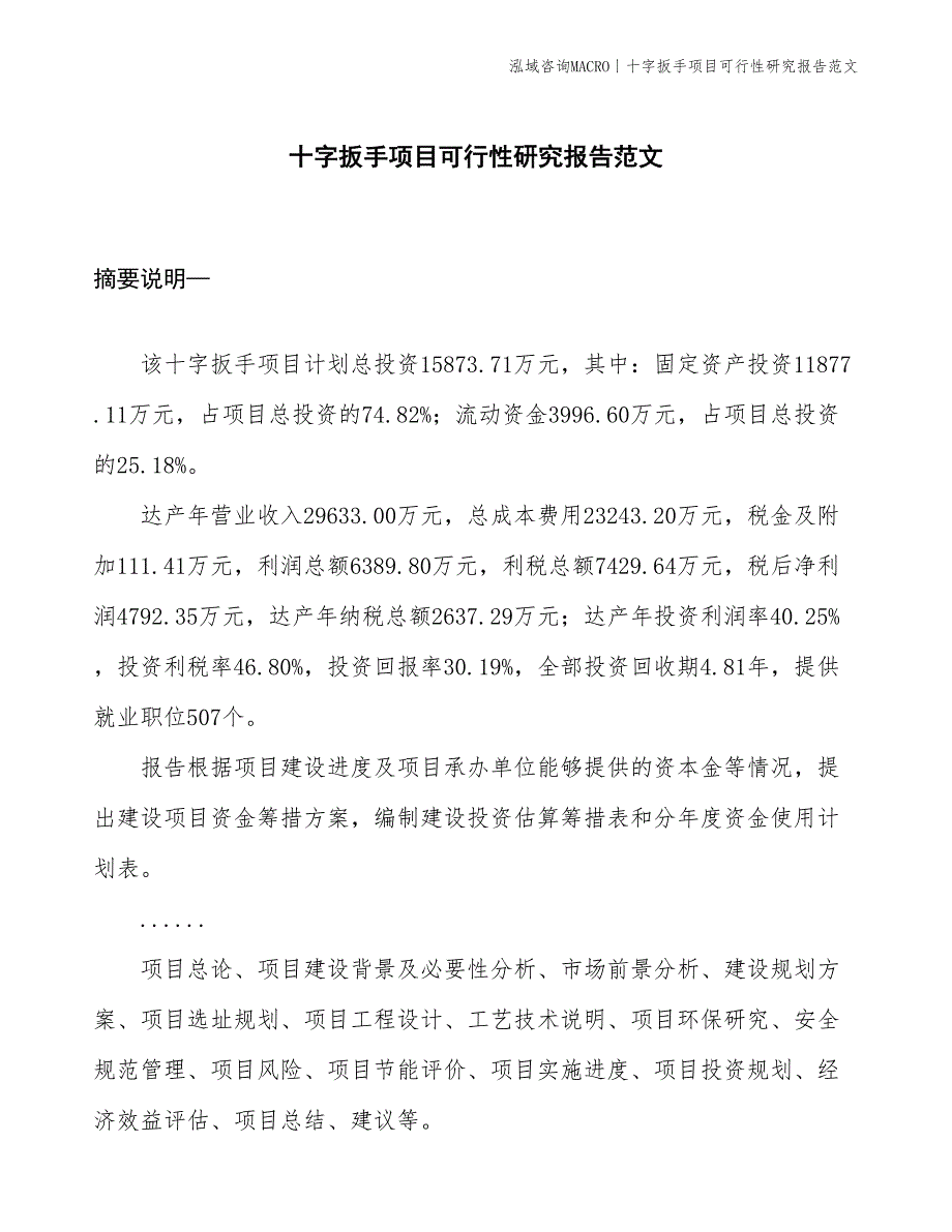 十字扳手项目可行性研究报告范文(投资15900万元)_第1页