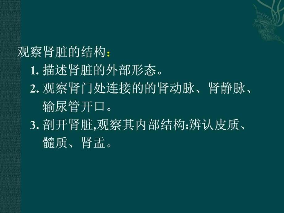 七年级生物下册112 尿的形成与排出（课件1）北师大_第4页