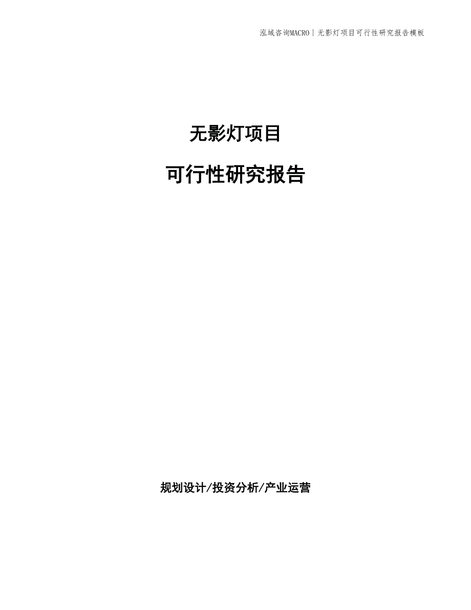 无影灯项目可行性研究报告模板_第1页