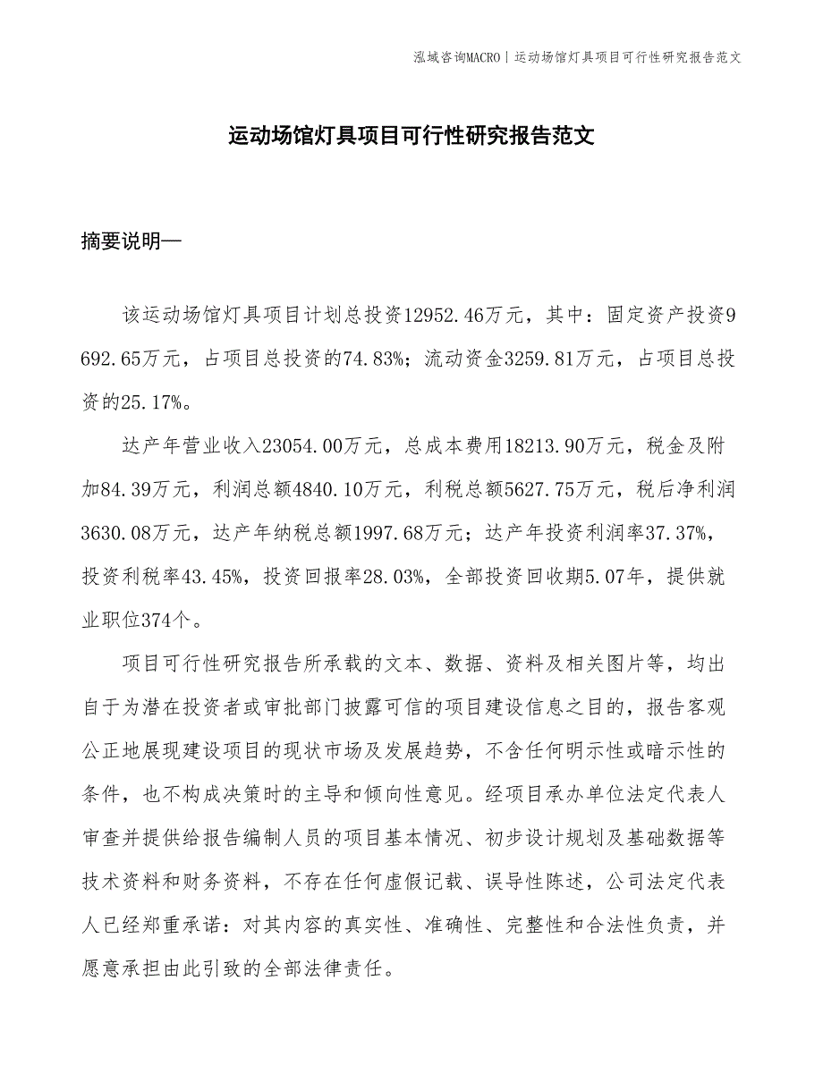 运动场馆灯具项目可行性研究报告范文(投资13000万元)_第1页