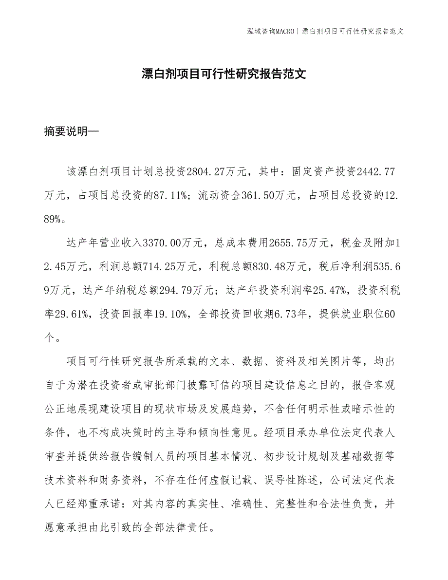 漂白剂项目可行性研究报告范文(投资2800万元)_第1页