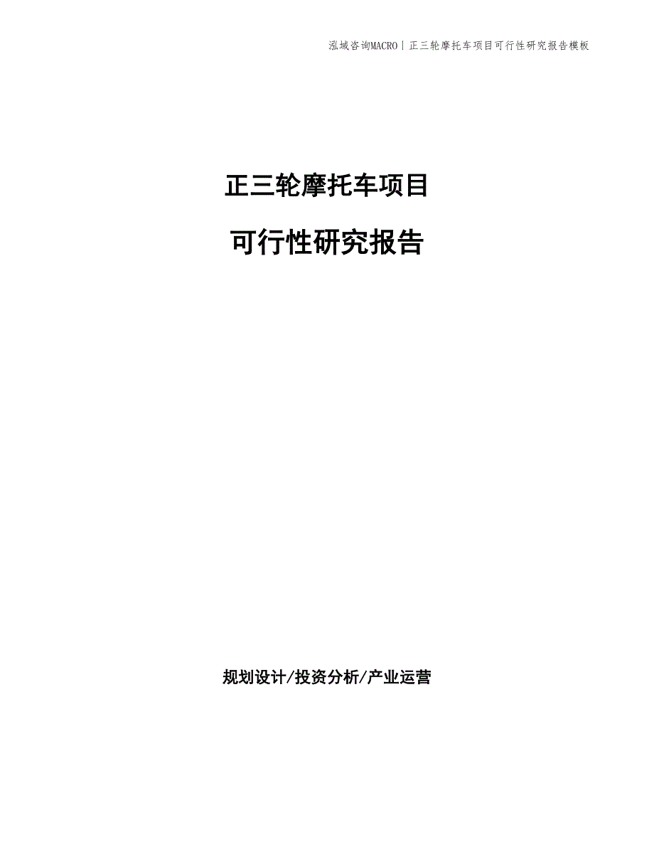 正三轮摩托车项目可行性研究报告模板_第1页