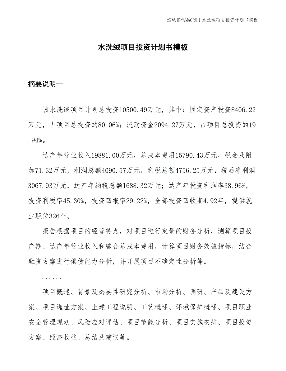 水洗绒项目投资计划书模板_第1页