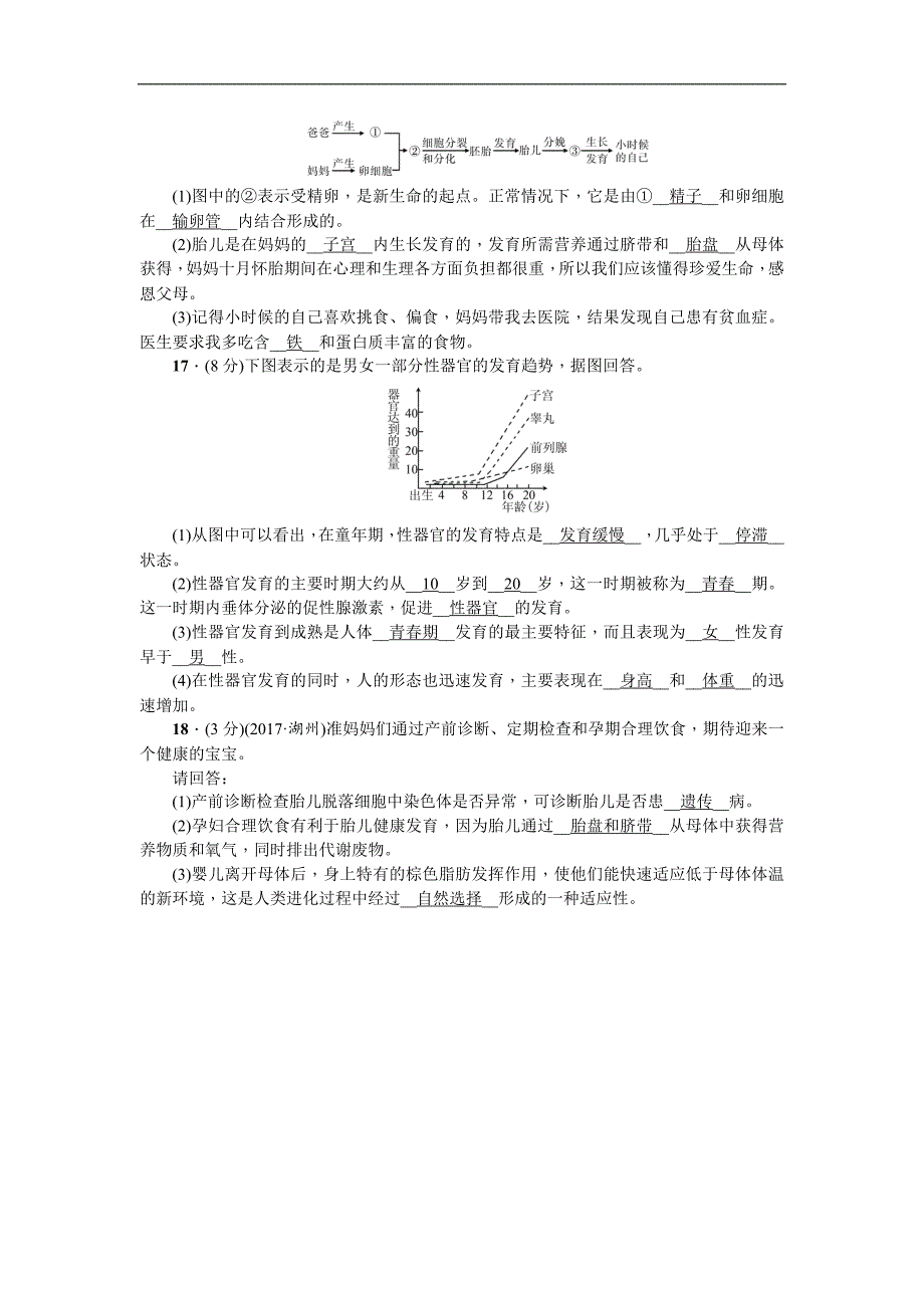 2018届中考生物复习（练习）：第10讲 人的由来_第3页