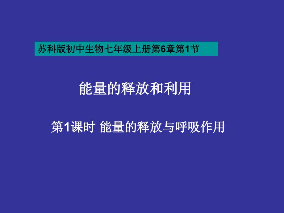 七年级生物能量的释放和利_第1页