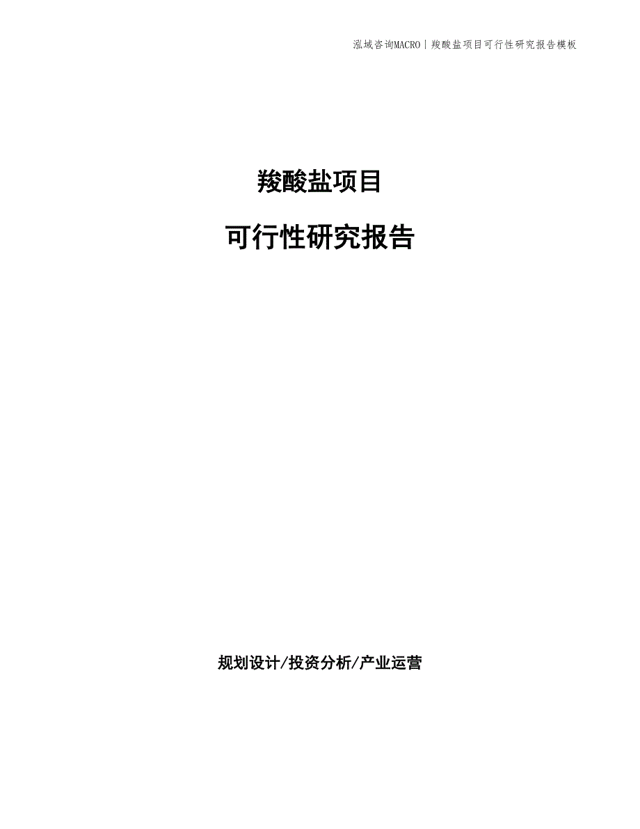 羧酸盐项目可行性研究报告模板_第1页