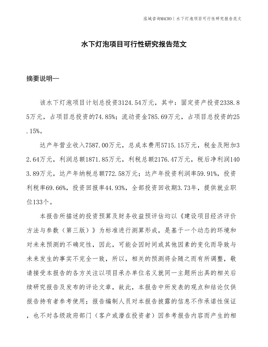 水下灯泡项目可行性研究报告范文(投资3100万元)_第1页