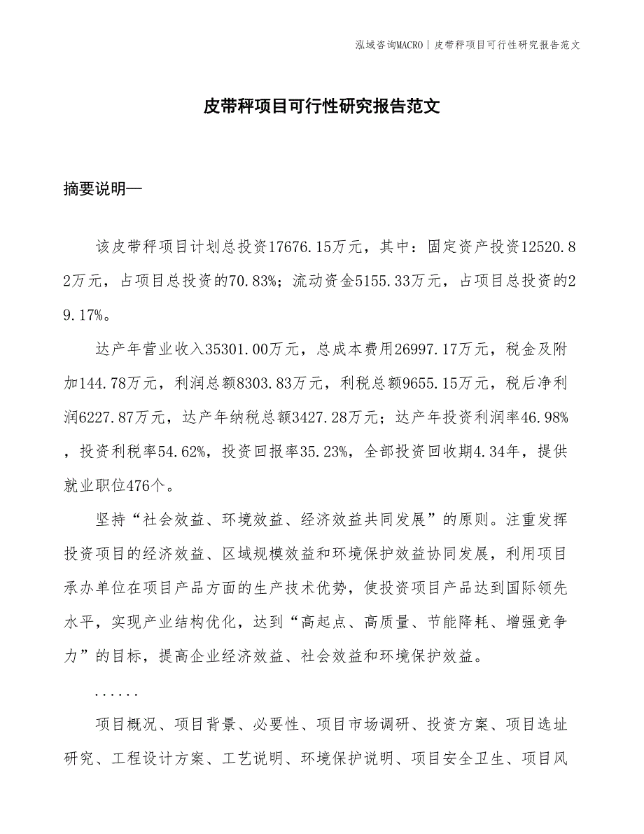 皮带秤项目可行性研究报告范文(投资17700万元)_第1页