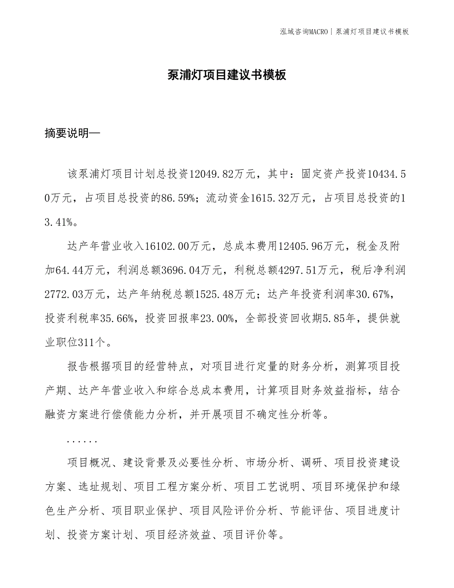 泵浦灯项目建议书模板(投资12000万元)_第1页