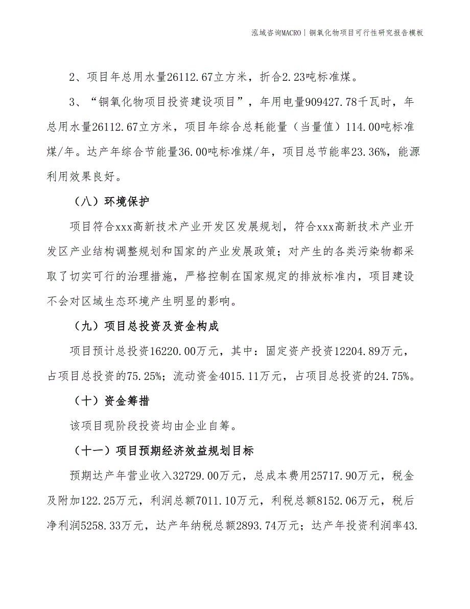 铜氧化物项目可行性研究报告模板_第4页