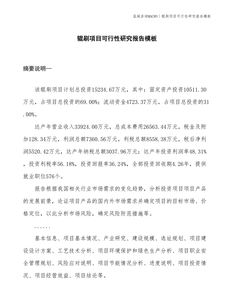 辊刷项目可行性研究报告模板(投资15200万元)_第1页