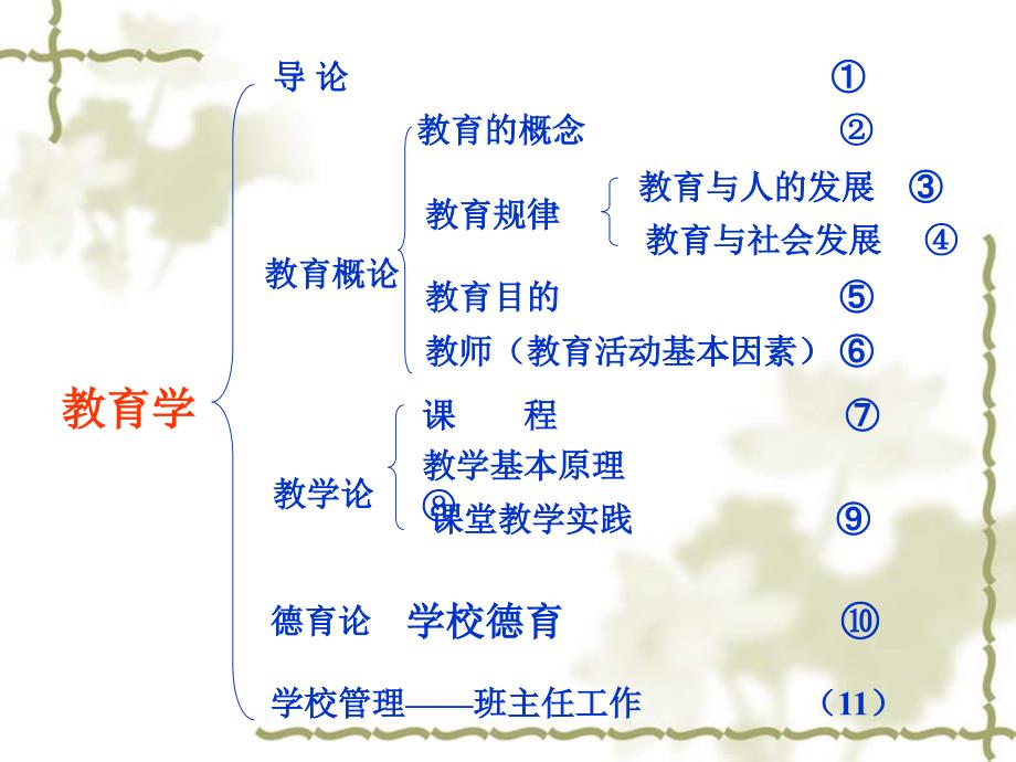 《教育学学终总回顾》ppt课件_第1页