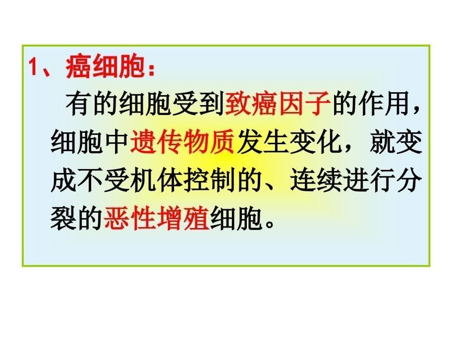 人教版教学课件河北省鸡泽一中高一生物《细胞的癌变》课件_第5页