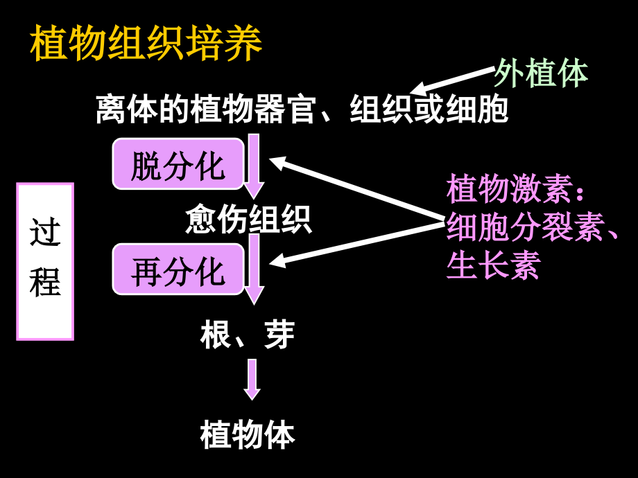 高二生物《选修三__植物细胞工程》(课件)_第4页