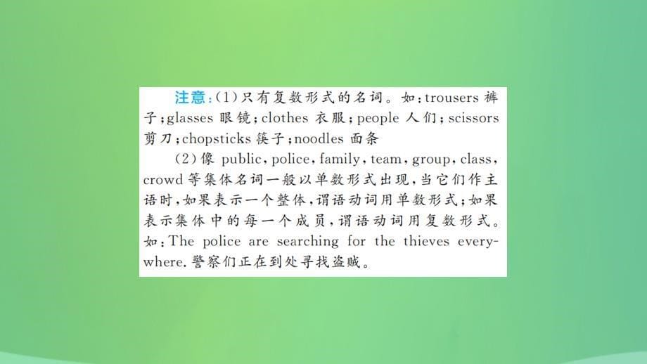 山东省德州市2019年中考英语 第二部分 专项语法 高效突破 专项1 名词课件_第5页