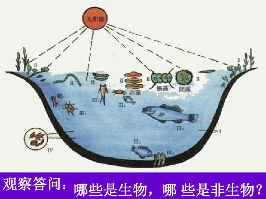 地球表层生物和生物的生存环境构成了生物圈_第2页