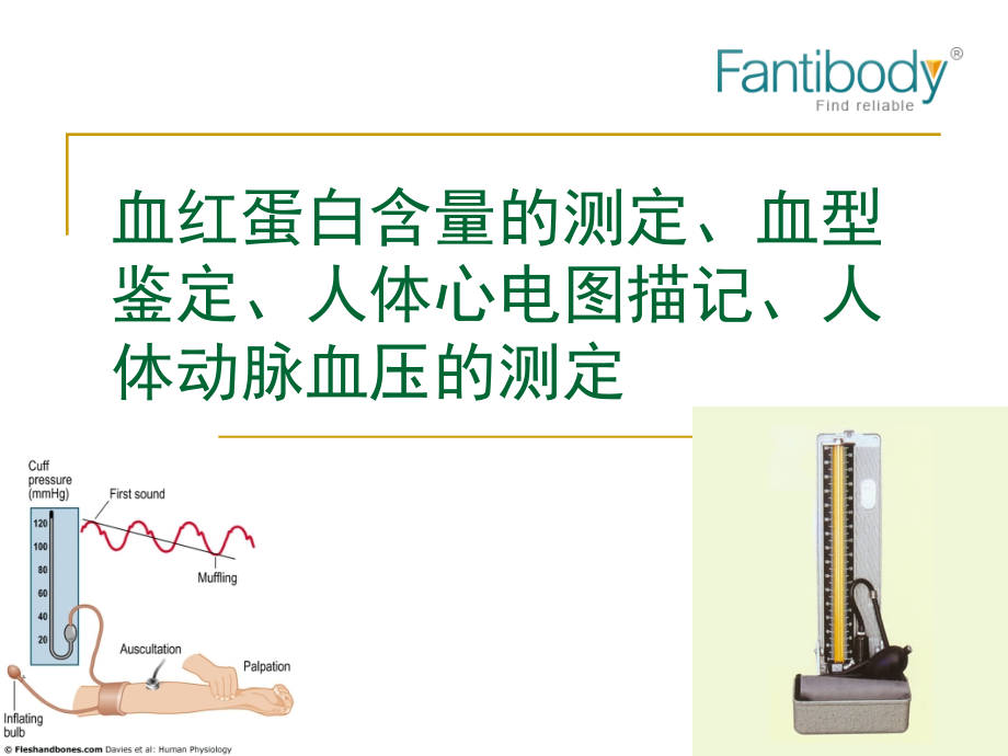 图解人体血型鉴定心电图描记动脉血压测定等课题_第1页