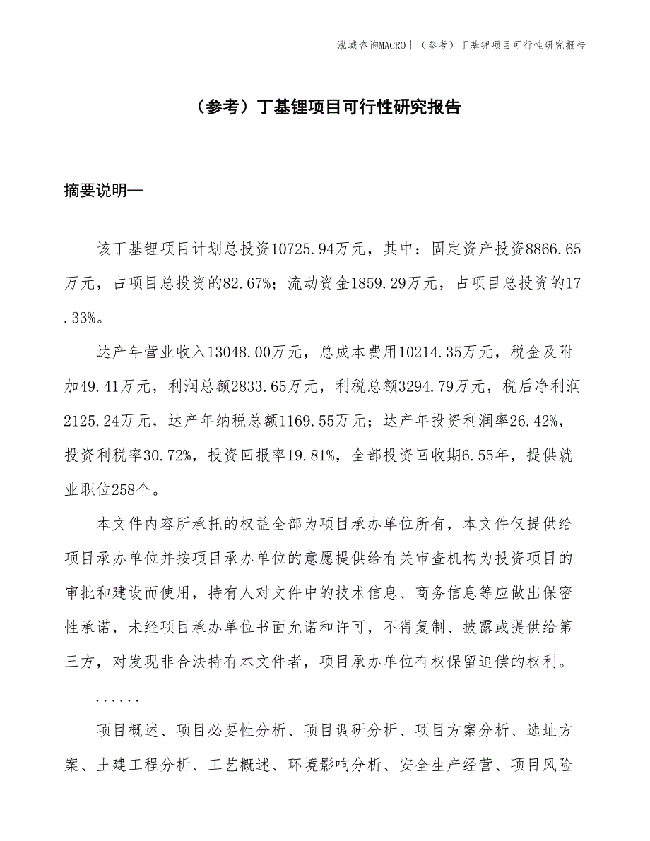 （参考）丁基锂项目可行性研究报告(投资10700万元)_第1页