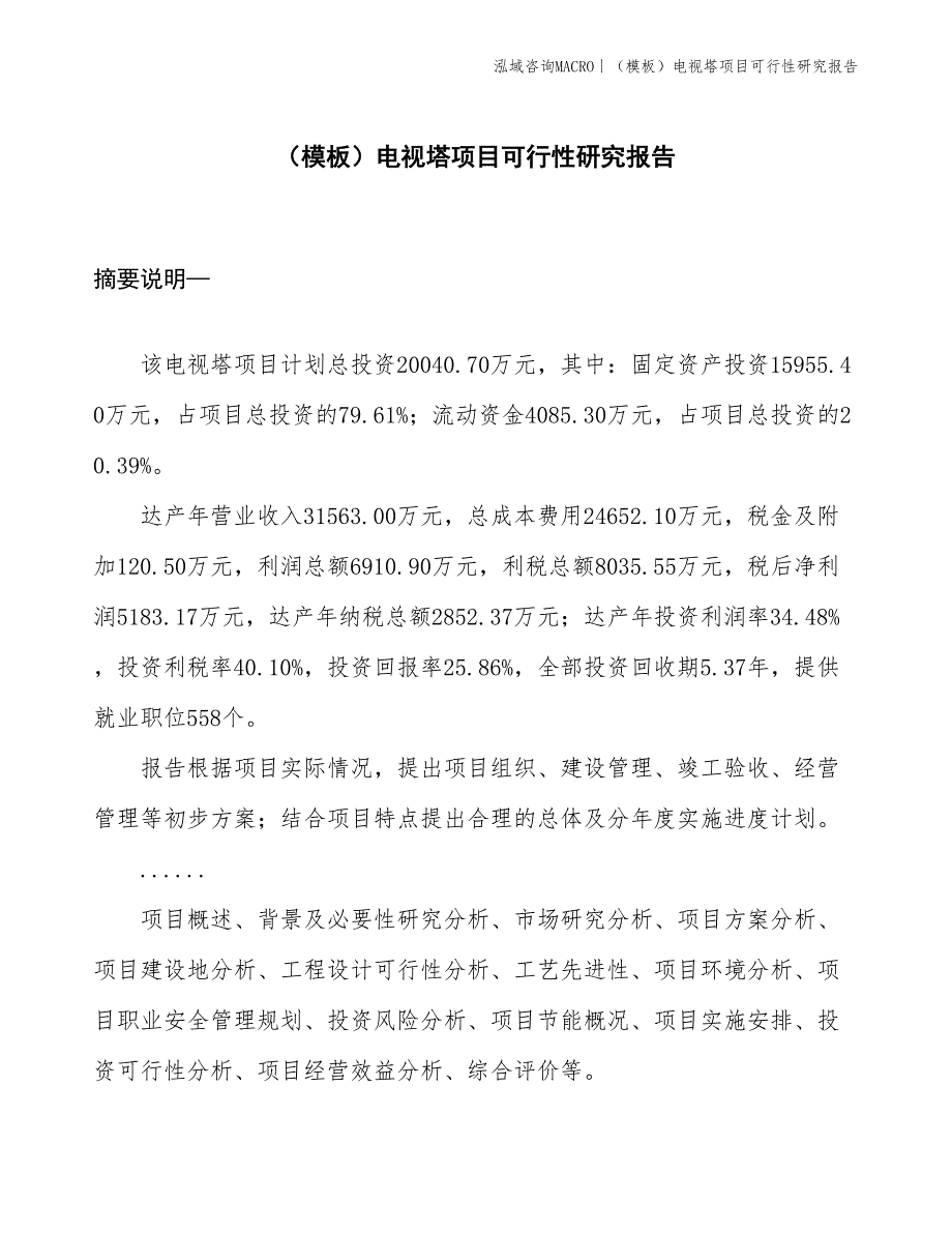 （模板）电视塔项目可行性研究报告(投资20000万元)_第1页